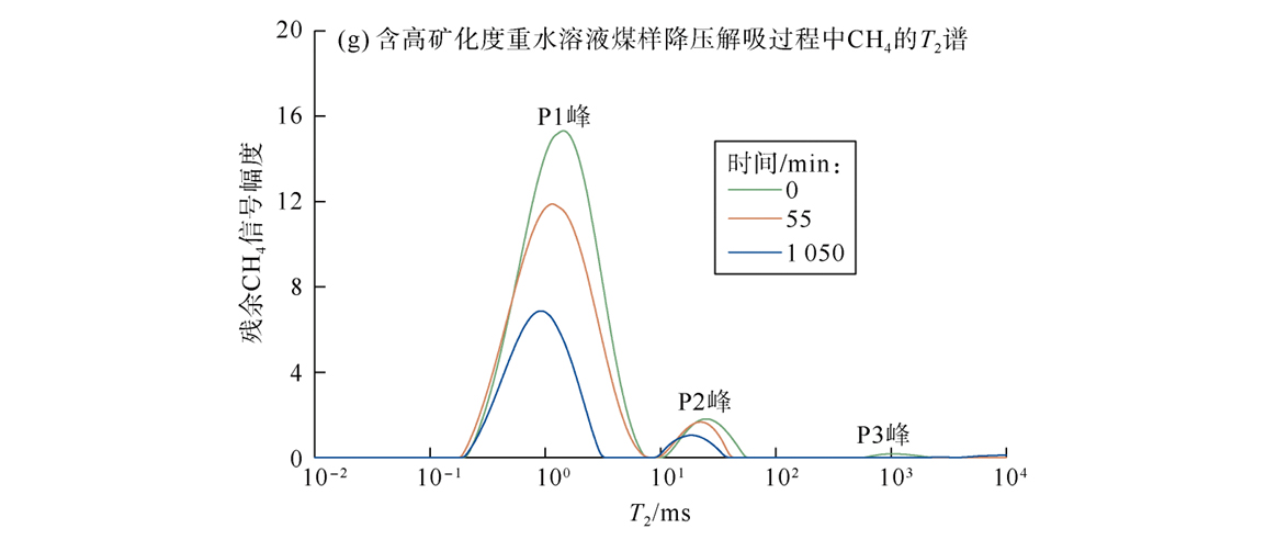 前沿應(yīng)用|基于低場核磁技術(shù)的壓裂液礦化度對深部煤層氣解吸機理的研究